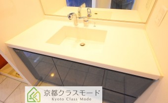 シャンプードレッサー