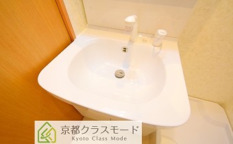 シャンプードレッサー