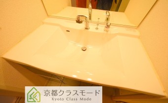 シャンプードレッサー