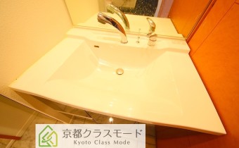 シャンプードレッサー