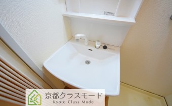シャンプードレッサー