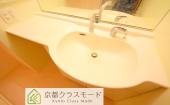 シャンプードレッサー