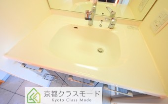 シャンプードレッサー