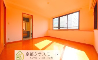 LDK11.5帖