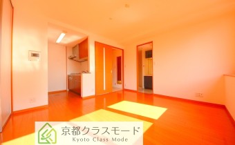 LDK11.5帖・別アングル