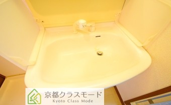 シャンプードレッサー