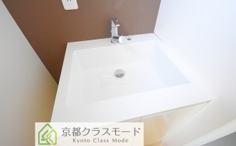 シャンプードレッサー