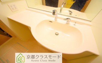 シャンプードレッサー
