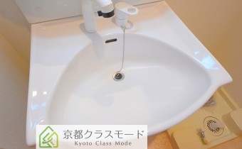 シャンプードレッサー