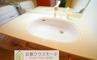 シャンプードレッサー