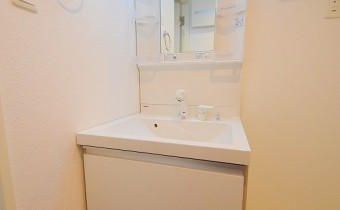 シャンプードレッサー
