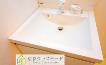 シャンプードレッサー