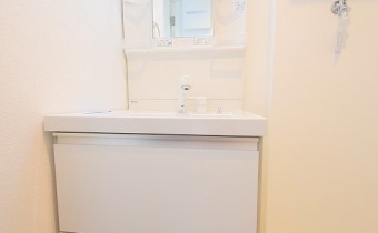 シャンプードレッサー