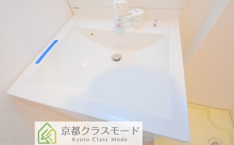 シャンプードレッサー