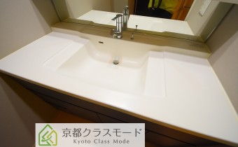 シャンプードレッサー　