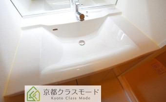 シャンプードレッサー