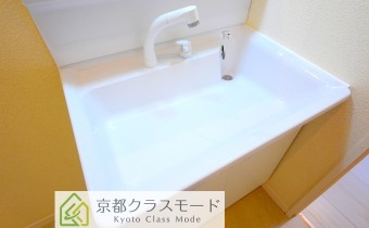 シャンプードレッサー