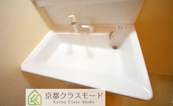 シャンプードレッサー