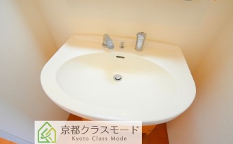 シャンプードレッサー