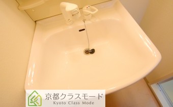 シャンプードレッサー