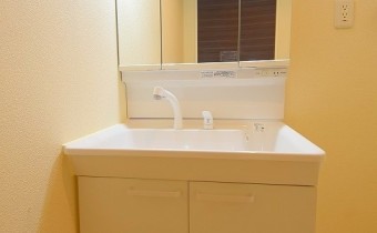 シャンプードレッサー