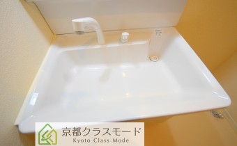 シャンプードレッサー