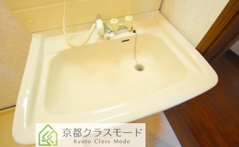 シャンプードレッサー