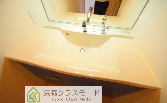 シャンプードレッサー
