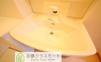 シャンプードレッサー