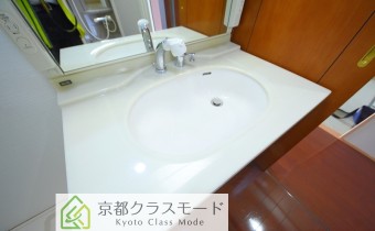 シャンプードレッサー