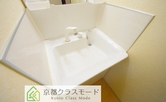 シャンプードレッサー