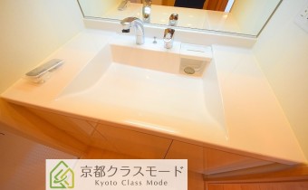 シャンプードレッサー