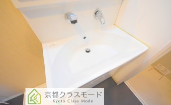 シャンプードレッサー