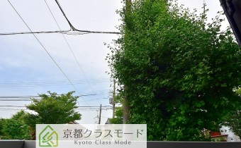 バルコニーからの眺望