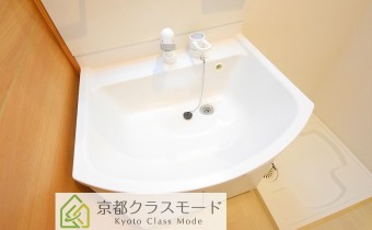 シャンプードレッサー