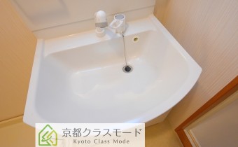 シャンプードレッサー