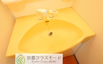 シャンプードレッサー