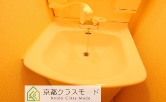 シャンプードレッサー
