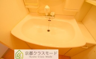 シャンプードレッサー