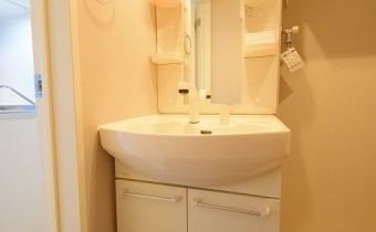 シャンプードレッサー