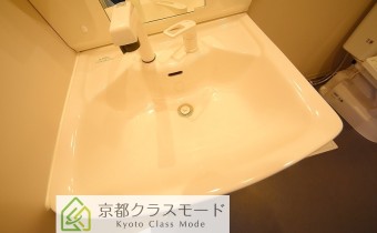 シャンプードレッサー