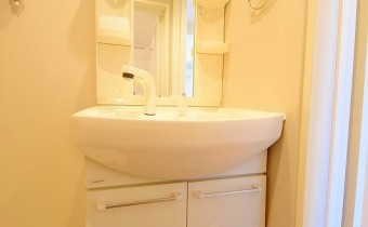 シャンプードレッサー