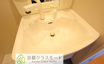シャンプードレッサー