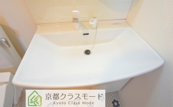 シャンプードレッサー