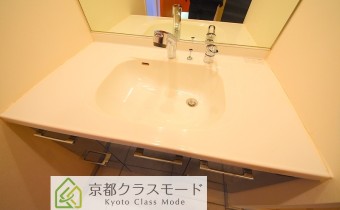 シャンプードレッサー