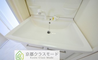 シャンプードレッサー
