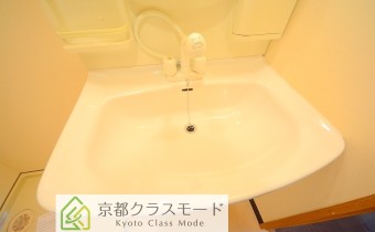 シャンプードレッサー