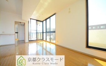 LDK15.5帖