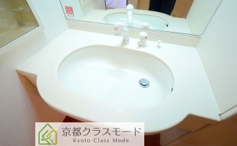 シャンプードレッサー
