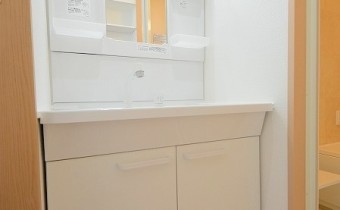シャンプードレッサー